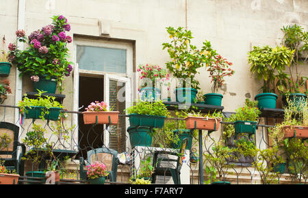 Kleinen Kräuter- und Blumengarten auf Terrasse gebaut Stockfoto