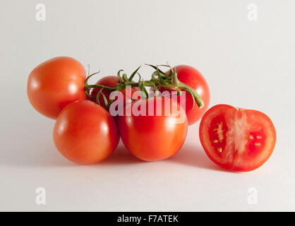 Tomaten auf die Weinrebe vor einem weißen Hintergrund Stockfoto