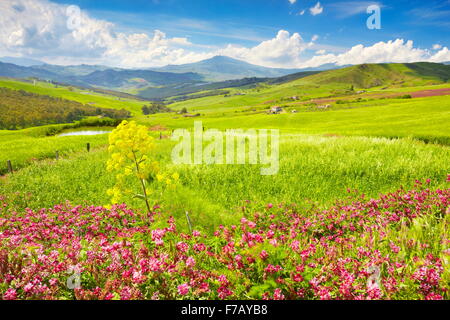 Frühlingslandschaft mit Blumen in Insel zentralen Sizilien, Sizilien, Italien Stockfoto