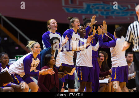 27. November 2015: Albany Doggen feiern bei den NCAA-Basketball-Spiel zwischen der University of Tennessee Lady Freiwilligen und die Albany-Doggen in der Thompson-Boling-Arena in Knoxville TN Tim Gangloff/CSM Stockfoto