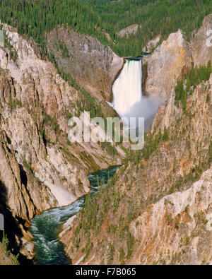 niedrigere Yellowstone Falls und Canyon im Yellowstone-Nationalpark, wyoming Stockfoto