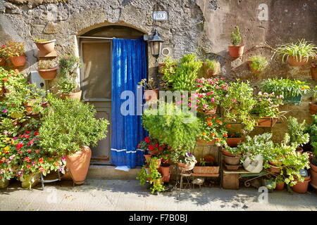 Eingang, geschmückt mit Blumen, Pitigliano, Toskana, Italien Stockfoto