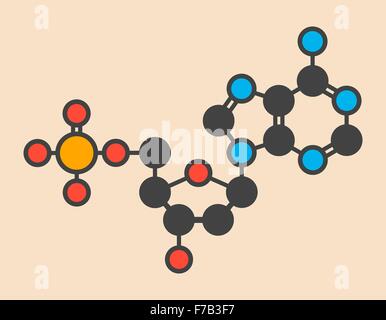 Deoxyadenosine Monophosphate (feucht)-Nukleotid-Molekül. DNA-Baustein. Stilisierte Skelettformel (chemische Struktur). Stockfoto