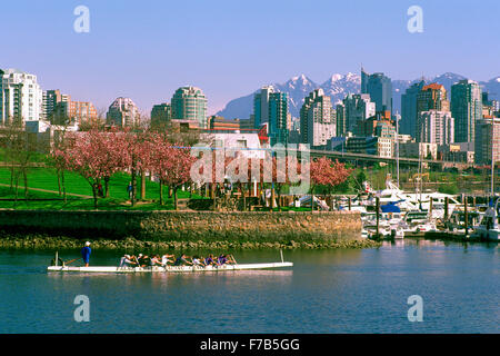Vancouver Stadt Skyline, BC, Britisch-Kolumbien, Kanada - Dragon Boat Praxis im False Creek auf Granville Island, Frühling Stockfoto