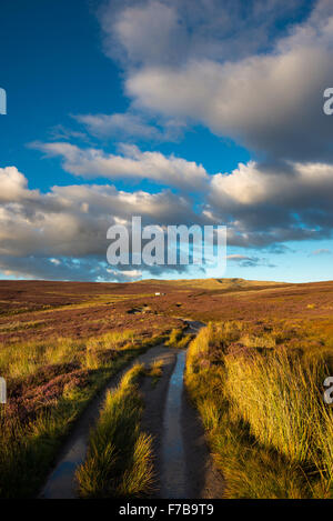 Wanderweg auf die Mauren über Hayfield im Peak District an einem schönen Sommerabend. Stockfoto