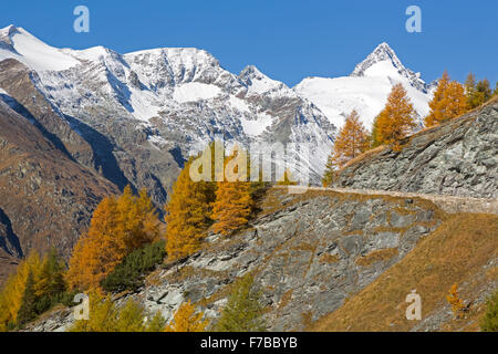 Großglockner High Alpine Road, Nationalpark Hohe Tauern, Kärnten, Österreich, Europa Stockfoto