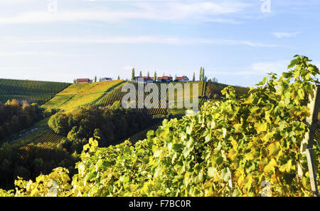 Suedsteirische Weinstraße, Südsteiermark Wein Route im Herbst, Österreich, Steiermark, Südsteiermark Stockfoto