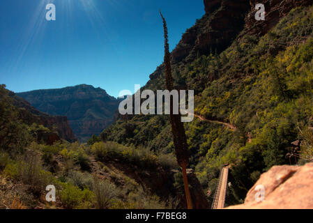 The North Kaibab Trail windet sich durch Schluchten im Grand Canyon National Park. Es ist eine lange Strecke, bis der Fluss gesehen werden kann. Stockfoto