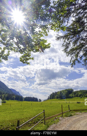 Alm, Maumau-Wiese, Losenheim, Schneeberg, Niederösterreich, Österreich Stockfoto