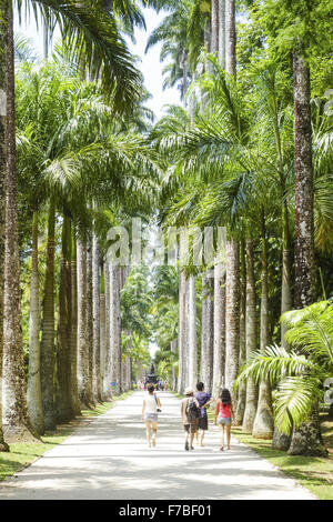 Rio De Janeiro, Botanischer Garten, Jardim Botanico, Brasilien Stockfoto