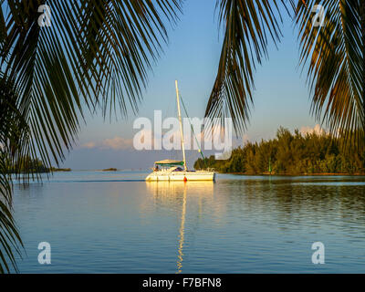 Cayo Largo del Sur, Kuba Stockfoto