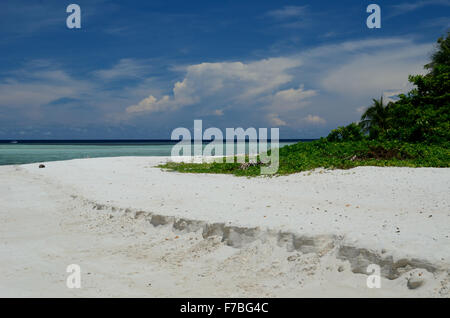 Sipadan Insel in der nordöstlichen Borneo Malaysia. eines der besten Website des Tauchens in der Welt Stockfoto