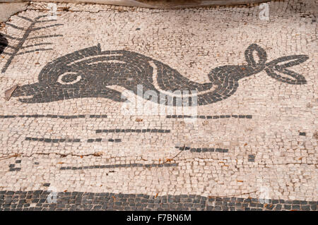 Herrliche Mosaiken sind in den Ausgrabungen von Ostia Antica, der Hafenstadt des antiken Roms konserviert. Stockfoto