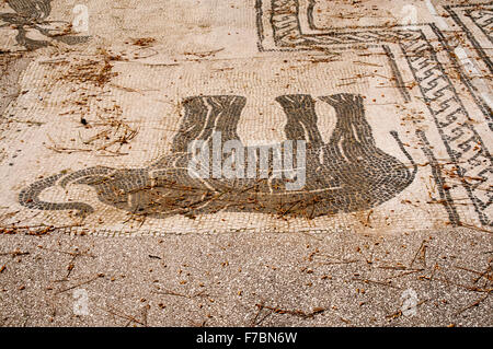 Herrliche Mosaiken sind in den Ausgrabungen von Ostia Antica, der Hafenstadt des antiken Roms konserviert. Stockfoto