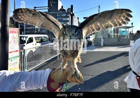 Tokio, Japan. 26. November 2015. Eine Eule Handler lockt die Eule Cafe in Harajuku Bezirk von Tokio durch den Nachweis, wie diese Greifvögel erstaunlich zahm und anhänglich sein kann. Japans Tier Cafés füllen eine sehr wichtige Nische, wie viele Menschen in städtischen Gebieten in beengten Wohnungen mit strengen keine-Haustiere Politik Leben. Das Haustier Café ermöglicht es ihnen, mit den domestizierten Tierreich zu verbinden. © Rory frohe/ZUMA Draht/Alamy Live-Nachrichten Stockfoto
