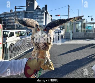 Tokio, Japan. 26. November 2015. Eine Eule Handler lockt die Eule Cafe in Harajuku Bezirk von Tokio durch den Nachweis, wie diese Greifvögel erstaunlich zahm und anhänglich sein kann. Japans Tier Cafés füllen eine sehr wichtige Nische, wie viele Menschen in städtischen Gebieten in beengten Wohnungen mit strengen keine-Haustiere Politik Leben. Das Haustier Café ermöglicht es ihnen, mit den domestizierten Tierreich zu verbinden. © Rory frohe/ZUMA Draht/Alamy Live-Nachrichten Stockfoto