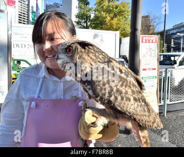 Tokio, Japan. 26. November 2015. Eine Eule Handler lockt die Eule Cafe in Harajuku Bezirk von Tokio durch den Nachweis, wie diese Greifvögel erstaunlich zahm und anhänglich sein kann. Japans Tier Cafés füllen eine sehr wichtige Nische, wie viele Menschen in städtischen Gebieten in beengten Wohnungen mit strengen keine-Haustiere Politik Leben. Das Haustier Café ermöglicht es ihnen, mit den domestizierten Tierreich zu verbinden. © Rory frohe/ZUMA Draht/Alamy Live-Nachrichten Stockfoto