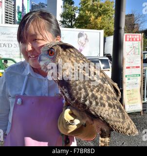 Tokio, Japan. 26. November 2015. Eine Eule Handler lockt die Eule Cafe in Harajuku Bezirk von Tokio durch den Nachweis, wie diese Greifvögel erstaunlich zahm und anhänglich sein kann. Japans Tier Cafés füllen eine sehr wichtige Nische, wie viele Menschen in städtischen Gebieten in beengten Wohnungen mit strengen keine-Haustiere Politik Leben. Das Haustier Café ermöglicht es ihnen, mit den domestizierten Tierreich zu verbinden. © Rory frohe/ZUMA Draht/Alamy Live-Nachrichten Stockfoto