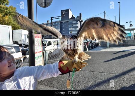 Tokio, Japan. 26. November 2015. Eine Eule Handler lockt die Eule Cafe in Harajuku Bezirk von Tokio durch den Nachweis, wie diese Greifvögel erstaunlich zahm und anhänglich sein kann. Japans Tier Cafés füllen eine sehr wichtige Nische, wie viele Menschen in städtischen Gebieten in beengten Wohnungen mit strengen keine-Haustiere Politik Leben. Das Haustier Café ermöglicht es ihnen, mit den domestizierten Tierreich zu verbinden. © Rory frohe/ZUMA Draht/Alamy Live-Nachrichten Stockfoto