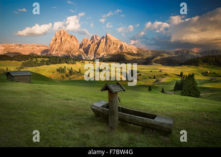 Seiser Alm mit Langkofel Gruppe vor Sonnenuntergang, Südtirol, Italien Stockfoto