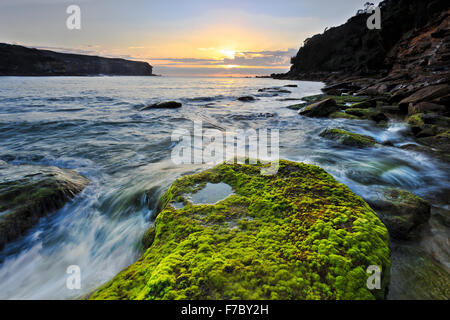 Sonnenaufgang im Royal National Park Wattamola Strand mit grünem Moos bedeckt Boulder im Vordergrund und die aufgehende Sonne über dem Horizont Stockfoto