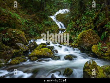 Schöne Haufen Creek Falls im Olympic Nationalpark in Washington. Stockfoto