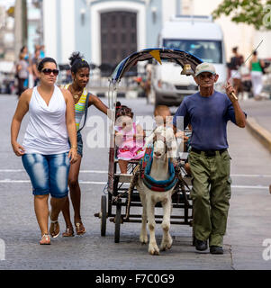 Kinder vergnügen, gezeichnet von Ziegenlämmern Beförderung, Street Life im Zentrum von Santa Clara im Parque de Santa Clara, Santa Clara Stockfoto