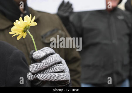 Irving, Texas, USA. 28. November 2015. Demonstrant vor einer lokalen Moschee, die eine gelbe Blume. Bildnachweis: Brian Humek/Alamy Live-Nachrichten Stockfoto