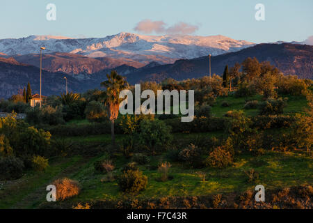 Blick auf die untergehende Sonne auf Palmen und Bäume mit Herbstlaub und Schnee auf den Bergen der Sierra Nevada in Granada Spanien Stockfoto