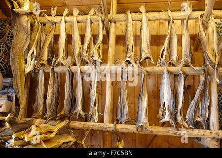 Getrockneten Kabeljau (Stockfisch), Lofoten Inseln, Norwegen Stockfoto