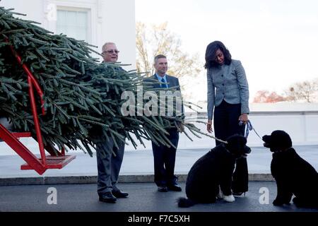 Washington, DC, USA. 28. November 2015. U.S. First Lady Michelle Obama übernimmt Lieferung von der offiziellen weiße Haus Weihnachtsbaum am nördlichen Portikus von Züchtern Jay und Glenn Bustard als Familie Haustiere Sonny und Bo am 27. November 2015 in Washington, DC zu sehen. 18,5-Fuß Fraser Fir wurde bei der Großtrappen Weihnachtsbäume in Lansdale, Pennsylvania angebaut. Stockfoto