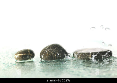 isolierte nass Zen Steinen mit Spritzwasser Tropfen vertreten Konzept der natürlichen Balance und Harmonie Stockfoto
