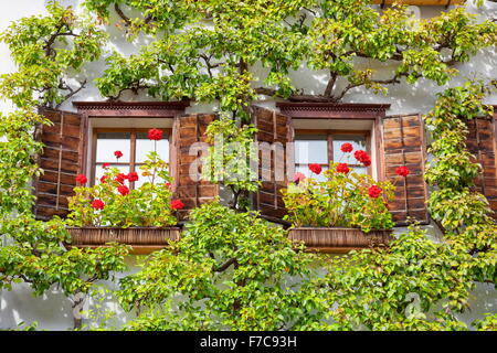 Fenster mit Blumen, Hallstatt, Salzkammergut, Österreich Stockfoto