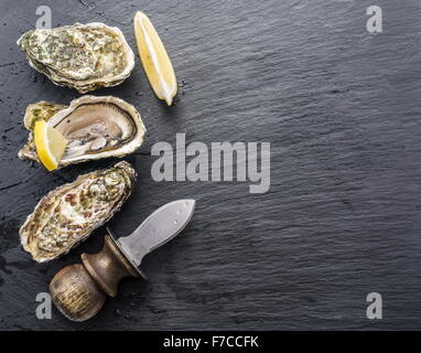 Rohe Austern auf dem Graphit-Brett. Stockfoto