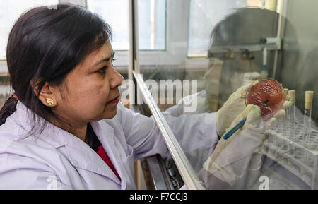 (151129)--CHANGCHUN, 29. November 2015 (Xinhua)--Rambha Kumari Shah, ein Medizinstudent aus Nepal, Studien im Labor in der Norman Bethune Health Science Center der Jilin Universität in Changchun, Hauptstadt der Provinz Jilin Nordost-China, 26. November 2015. 39-j hrige Rambha Kumari Shah und ihre Tochter Neelam Kumari Shah beide studierte Medizin an der Norman Bethune Health Science Center der Jilin-Universität. Die Mutter ist ein Doktorand für Mikrobiologie, die Tochter Meisterschüler für Gastroenterologie. Insgesamt 528 ausländische Studierende studierte Medizin an der Mitte, am meisten davon com Stockfoto