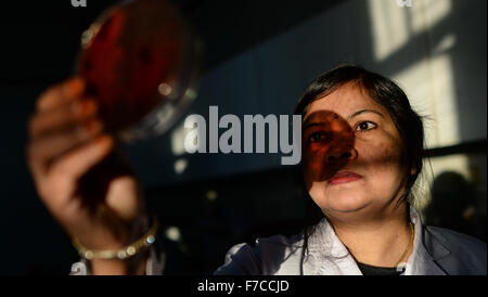 (151129)--CHANGCHUN, 29. November 2015 (Xinhua)--Rambha Kumari Shah, ein Medizinstudent aus Nepal, Studien in einem Labor in Norman Bethune Health Science Center der Jilin Universität in Changchun, Hauptstadt der Provinz Jilin Nordost-China, 26. November 2015. 39-j hrige Rambha Kumari Shah und ihre Tochter Neelam Kumari Shah beide Studium der Medizin an der Norman Bethune Health Science Center der Jilin-Universität. Die Mutter ist ein Doktorand für Mikrobiologie, die Tochter Meisterschüler für Gastroenterologie. Insgesamt 528 ausländische Studierende studierte Medizin an der Mitte, von denen meisten fr kommen Stockfoto