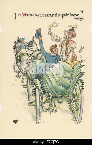 Flower Fairy Brautpaar in einer Kutsche fahren gemacht der eine Venusfliegenfalle Dionaea Muscipula, angetrieben von einem Amor in einem Jockey-Outfit. Farblitho nach einer Illustration von Walter Crane aus A Blume Hochzeit, Cassell, London, 1905. Stockfoto