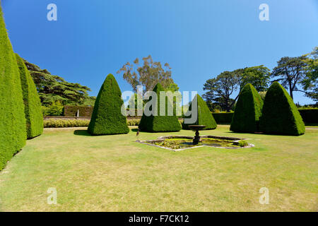 Beeindruckende abgeschnittene Eibe Baum Formschnitt Pyramiden in der versunkene Garten des großen Hofs in Athelhampton House, Dorset, England, UK Stockfoto