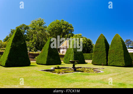 Beeindruckende abgeschnittene Eibe Baum Formschnitt Pyramiden in der versunkene Garten des großen Hofs in Athelhampton House, Dorset, England, UK Stockfoto