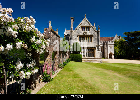 Ein Wandern stieg wachsen auf einer Wand an der Athelhampton House Gardens, Dorset, England, UK Stockfoto