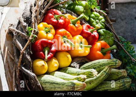 Rustikale Weidenkorb gefüllt mit angeordnet Rot, Gelb, Grün und Orange Paprika, Zucchini. Warenkorb auf Steintreppe. Sunlit. Stockfoto