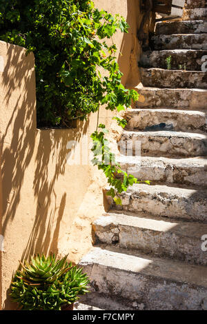 Santorini. Fira. Verschlissene alte Steinstufen vorbei gelbe Wand mit über hängende Strauch und Blätter. Schatten und Licht. Immer noch leben. Stockfoto