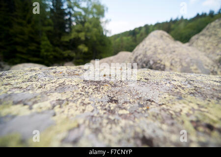 Stone River große Granitsteine auf Rocky River Nationalpark Vitosha, Bulgarien Stockfoto