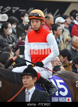 Tokio, Japan. 29. November 2015. Shonan Pandora (15), jockeyed von Kenichi Ikezoe gewinnt den 35. Japan Cup in Tokyo Racecourse in der Stadt Fuchu im westlichen Tokyo. 29. November 2015. Foto von: Ramiro Agustin Vargas Tabares. Ramiro Agustin © Vargas Tabares/ZUMA Draht/Alamy Live-Nachrichten Stockfoto