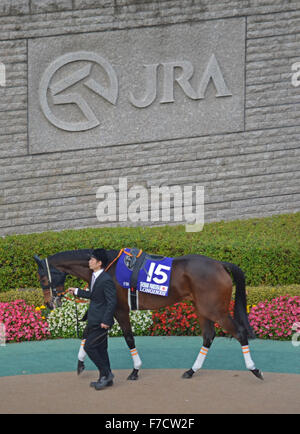 Tokio, Japan. 29. November 2015. Rennpferd Shonan Pandora wird während des 35. Japan Cup in Tokyo Racecourse in der Stadt Fuchu im westlichen Tokyo gezeigt. 29. November 2015. Foto von: Ramiro Agustin Vargas Tabares. Ramiro Agustin © Vargas Tabares/ZUMA Draht/Alamy Live-Nachrichten Stockfoto