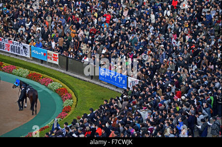 Tokio, Japan. 29. November 2015. Ein Rennpferd hält, als es an Fans während des 35. Japan Cup in Tokyo Racecourse in der Stadt Fuchu im westlichen Tokyo gezeigt worden. 29. November 2015. Foto von: Ramiro Agustin Vargas Tabares. Ramiro Agustin © Vargas Tabares/ZUMA Draht/Alamy Live-Nachrichten Stockfoto