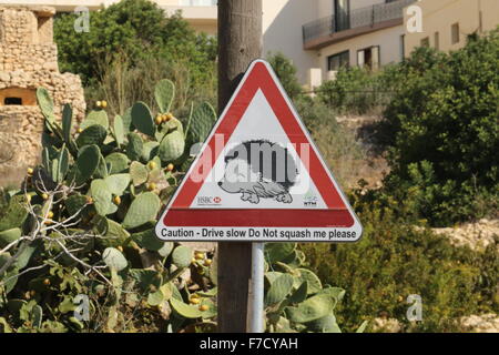 Verkehrszeichen in Malta Warnung über Igel Stockfoto