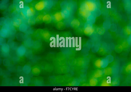 Abstrakt Grün verschwommen Bokeh backgroud Stockfoto