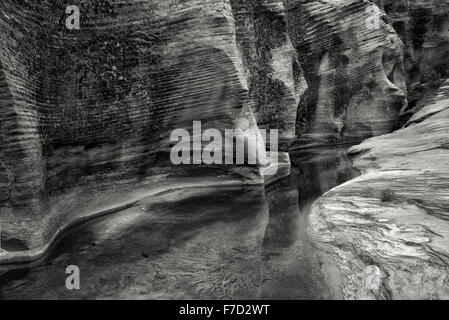 Saisonale Bachbett mit Wasser und Reflexion. Zion Nationalpark, UT Stockfoto