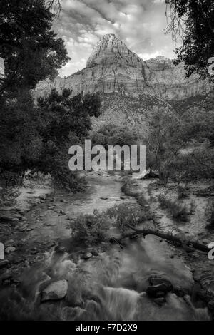 Virgin River und Peak mit Pappeln. Zion Nationalpark, UT Stockfoto